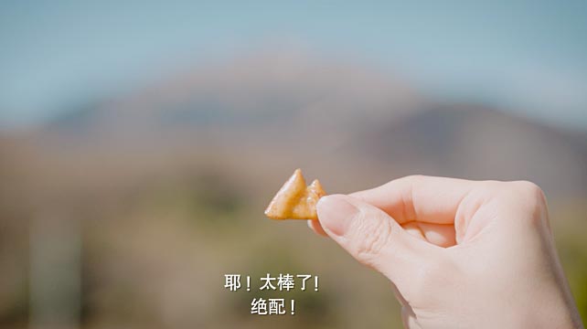 日產(chǎn)汽車與柿種餅干的故事！